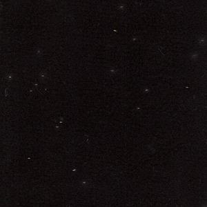NESU1-13