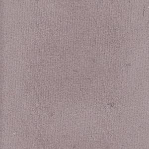 NESU1-161