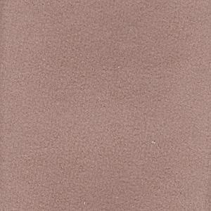NESU1-21